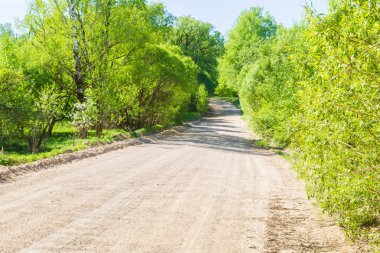 Moloz güneşli bir bahar orman boyunca yoldan