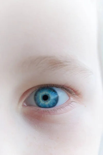 Bebé Azul Hermoso Ojos Melancólicos Niño —  Fotos de Stock