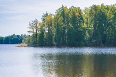 Açık havada bahar gölde büyük orman