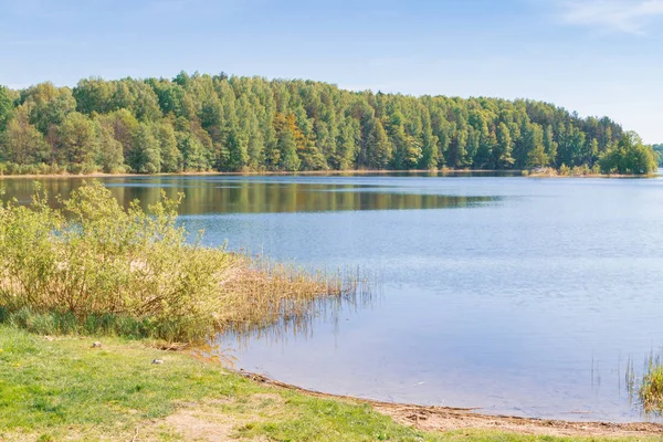 Açık havada bahar gölde büyük orman