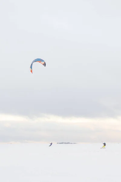 Kiteboarding na nartach w zimie w polu przez grupę osób — Zdjęcie stockowe