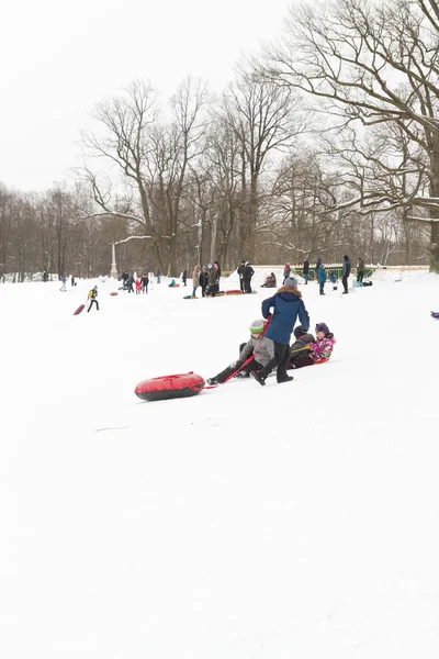 Alexandria Park, Peterhof, St. Petersburg, Russia 04 January 201 — Stock Photo, Image