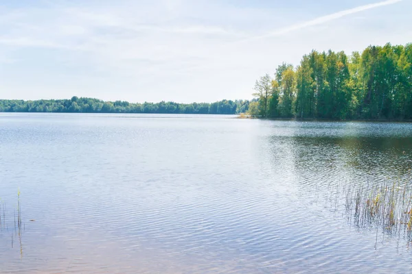 Açık havada bahar gölde büyük orman