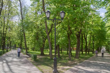 Smolensk güneşli bir bahar.