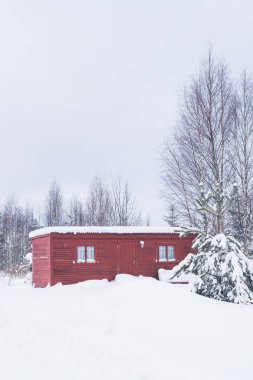 Bir özel ev topraklarında ormandaki döken tahta