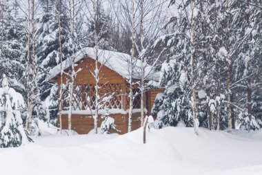 Kış forest yakınındaki özel evinde ahşap çardak
