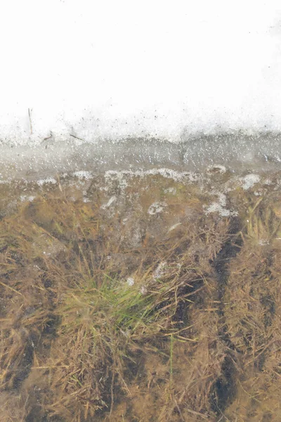 Primavera inundação carrega a neve e se transforma em uma poça fora th — Fotografia de Stock