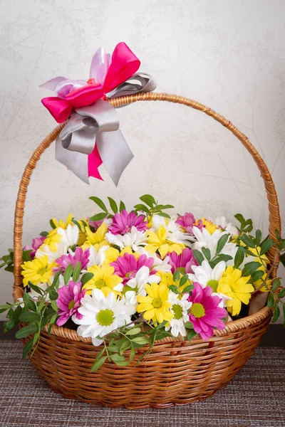Krásný barevný chryzantéum květiny v proutěném koši — Stock fotografie