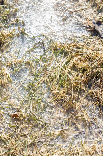 Primavera inundação carrega a neve e se transforma em uma poça fora th — Fotografia de Stock