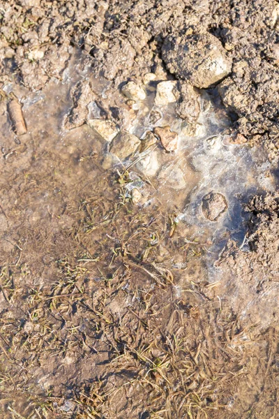 Spring flood carries the snow and turns into a puddle outside th — Stock Photo, Image