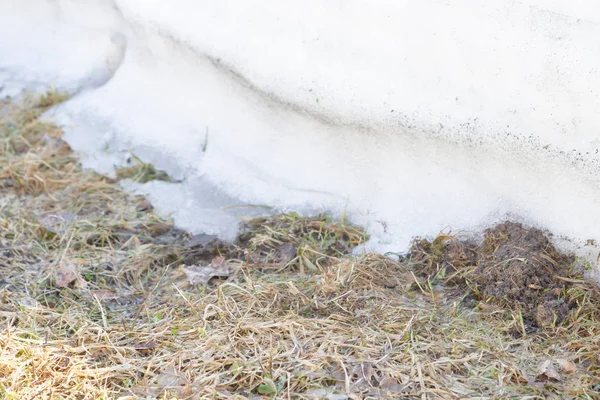 Au début du printemps, la neige fond en dehors de la ville par temps ensoleillé — Photo