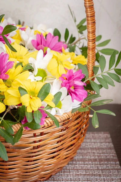 Hermosas flores de crisantemo de colores en una canasta de mimbre — Foto de Stock