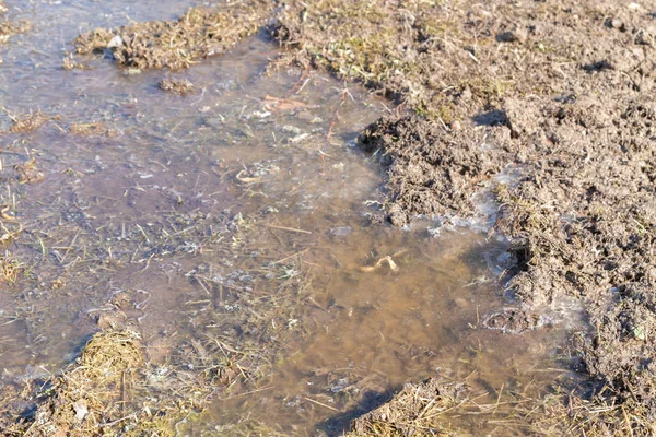 Inundación de primavera lleva la nieve y se convierte en un charco fuera de th —  Fotos de Stock