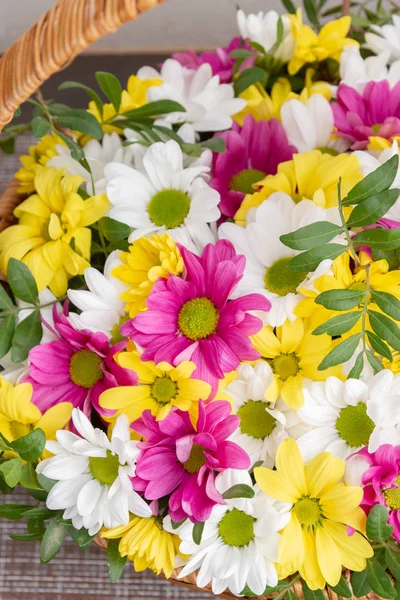 Hermosas flores de crisantemo de colores en una canasta de mimbre — Foto de Stock