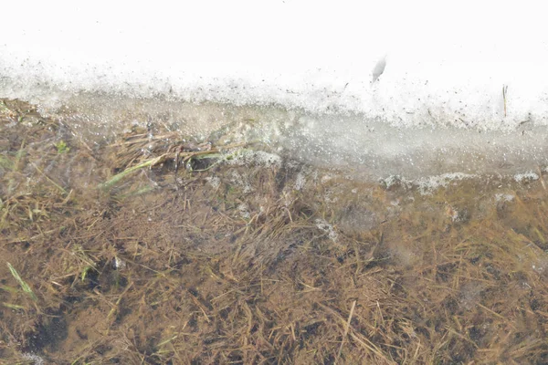 Inundación de primavera lleva la nieve y se convierte en un charco fuera de th — Foto de Stock