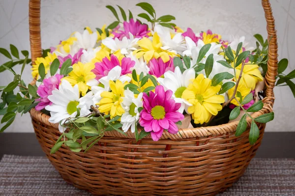 Hermosas flores de crisantemo de colores en una canasta de mimbre — Foto de Stock