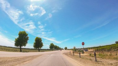 Rusya'nın güneyinde güneşli bir günde araba ile seyahat