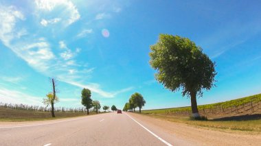 Rusya'nın güneyinde güneşli bir günde araba ile seyahat