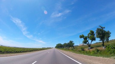 Güneşli havalarda Güney'de kırsal yol görünümü