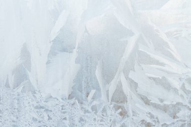 Sabahın erken saatlerinde bir donmuş buz soğuk desenleri kutu