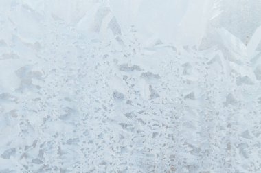 Sabahın erken saatlerinde bir donmuş buz soğuk desenleri kutu