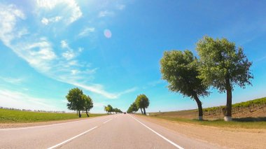 Güneşli havalarda Güney'de kırsal yol görünümü