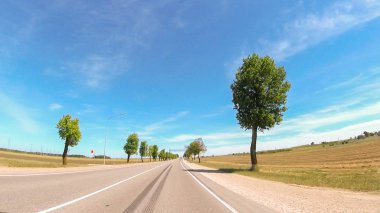 Rusya'nın güneyinde güneşli bir günde araba ile seyahat