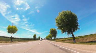 Rusya'nın güneyinde güneşli bir günde araba ile seyahat