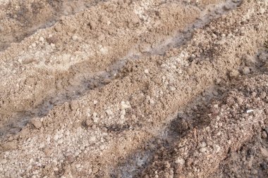 Dikim için yataklarda yerden furrows