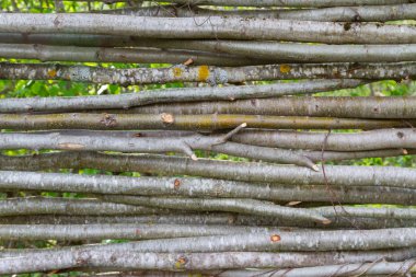 Birlikte dokunmuş ağaç dallarından yapılmış bir çit