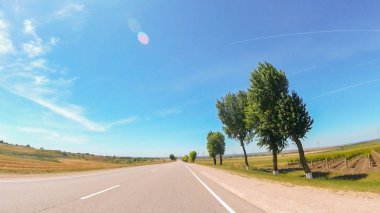 Güneşli havalarda Güney'de kırsal yol görünümü