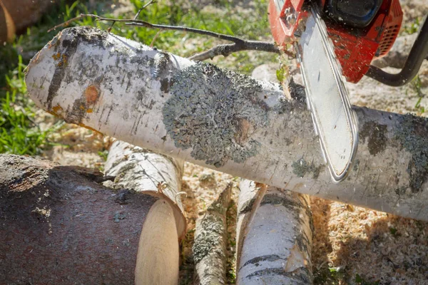 Cortar los troncos con una motosierra para preparar leña — Foto de Stock