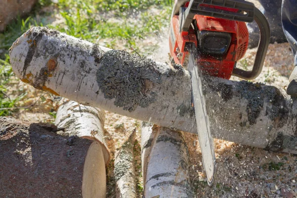 Cortar los troncos con una motosierra para preparar leña — Foto de Stock