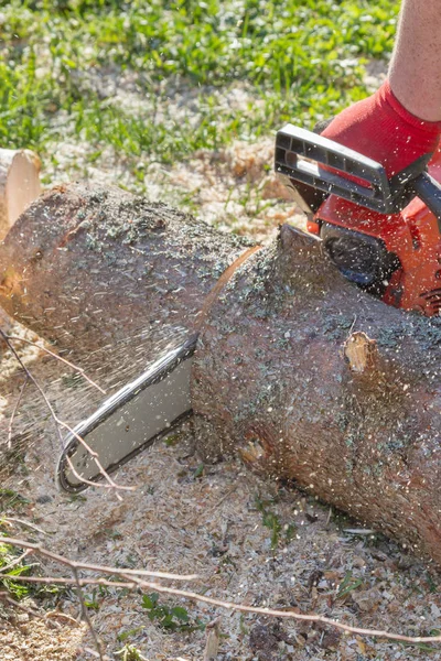 Cortar los troncos con una motosierra para preparar leña — Foto de Stock