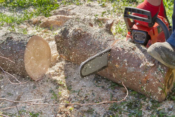 Cortar los troncos con una motosierra para preparar leña — Foto de Stock