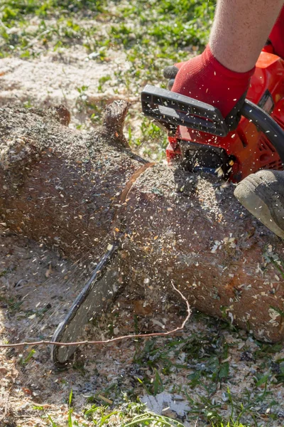 Cortar los troncos con una motosierra para preparar leña — Foto de Stock