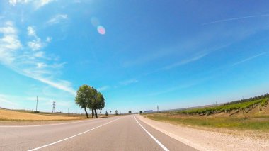 Rusya'nın güneyinde güneşli bir günde araba ile seyahat