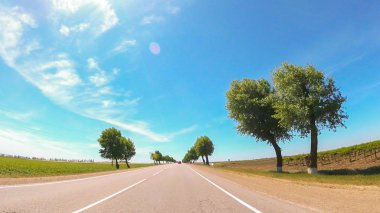 Güneşli havalarda Güney'de kırsal yol görünümü