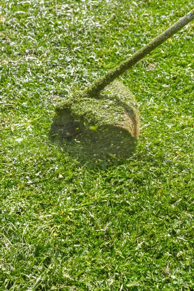 Trimer posekejte trávu v příměstské oblasti mimo město v th — Stock fotografie