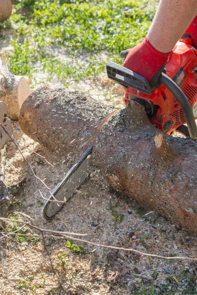 Cut the logs with a chainsaw to prepare firewood — Stock Photo, Image