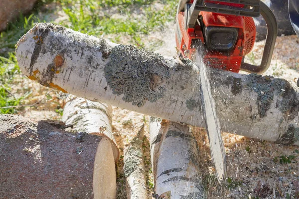 Cortar los troncos con una motosierra para preparar leña — Foto de Stock