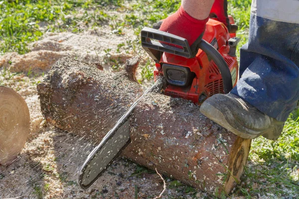 Cortar los troncos con una motosierra para preparar leña — Foto de Stock