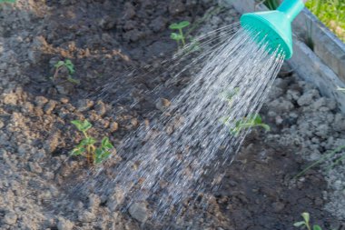 Sulama kutuları ile bahçede sulama yatakları