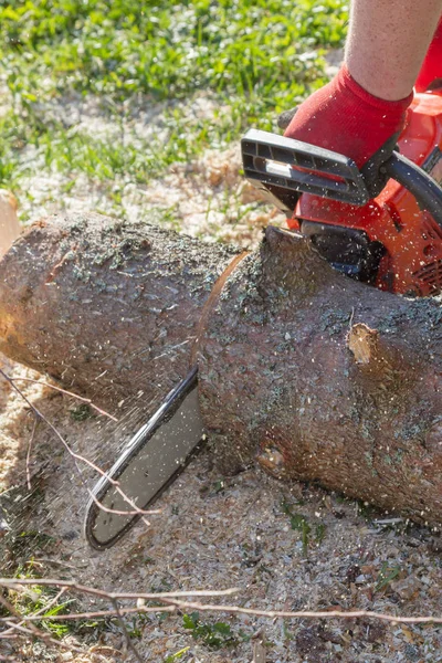 Cortar los troncos con una motosierra para preparar leña — Foto de Stock