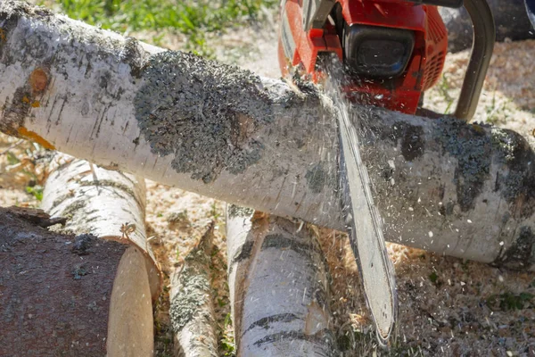 Cortar los troncos con una motosierra para preparar leña — Foto de Stock