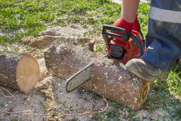 Cortar los troncos con una motosierra para preparar leña — Foto de Stock