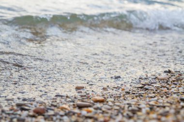 Deniz kıyısı yaz aylarında deniz taşları