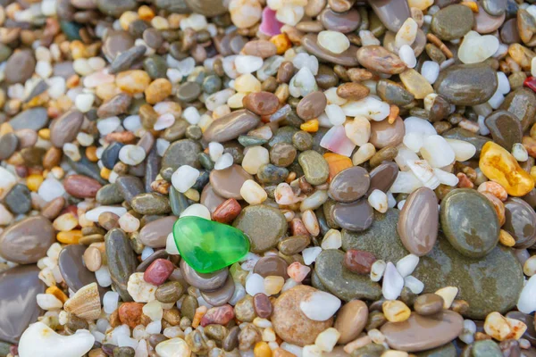 夏の海岸の海石 — ストック写真