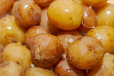 Üzerinde sarımsak ve tereyağı ile üniforma genç haşlanmış patates