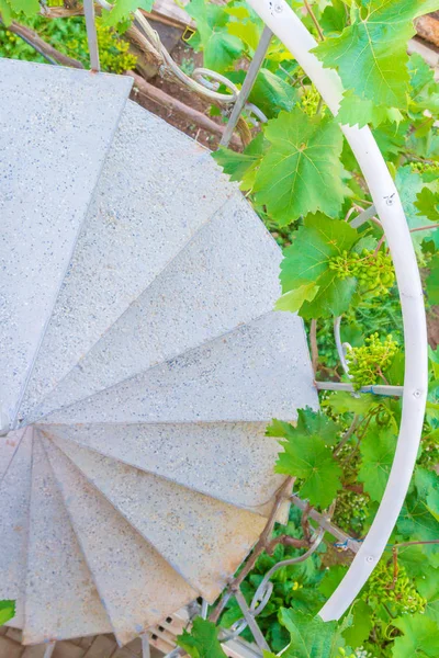 Escadaria em espiral cinza na casa privada no verão — Fotografia de Stock